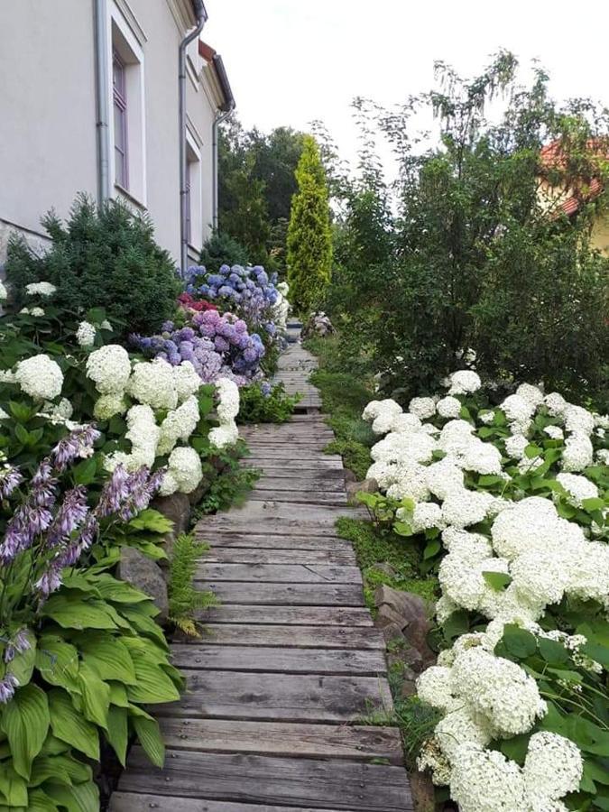 Hortensjowe Wzgórze Myślenice Exterior foto